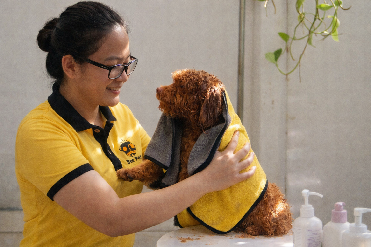 Dịch vụ tắm vệ sinh thú cưng Bee Pet